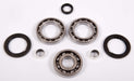 All Balls Differencial Bearing Repair Kit (Compatible Brand: Fits Polaris)