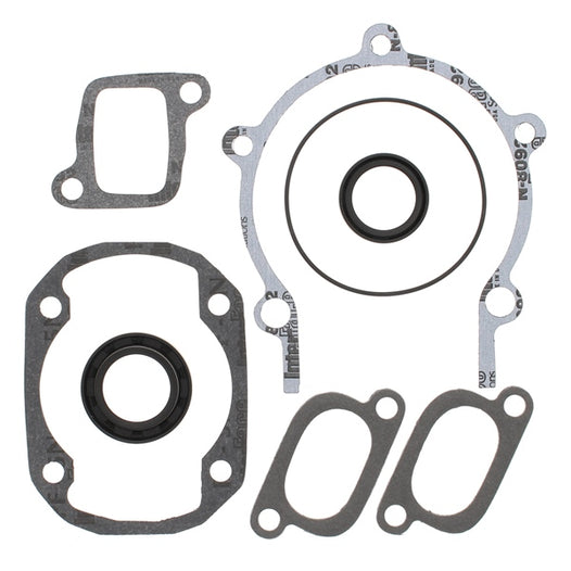VertexWinderosa Professional Complete Gasket Sets with Oil Seals (Compatible Brand: Fits Redcat,Fits Ski-doo)