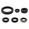 VertexWinderosa Complete Gasket Sets with Oil Seals (Compatible Brand: Fits Kawasaki) (Displacement: N/A)